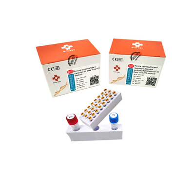 Type porcin de Circovirus - essai acide nucléique Micgene d'ACP d'ADN 2 de kit porcin d'essai