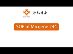 POCT Machine de PCR quantitative en temps réel 2 / 4 canaux 24 Bien dispositif de diagnostic moléculaire
