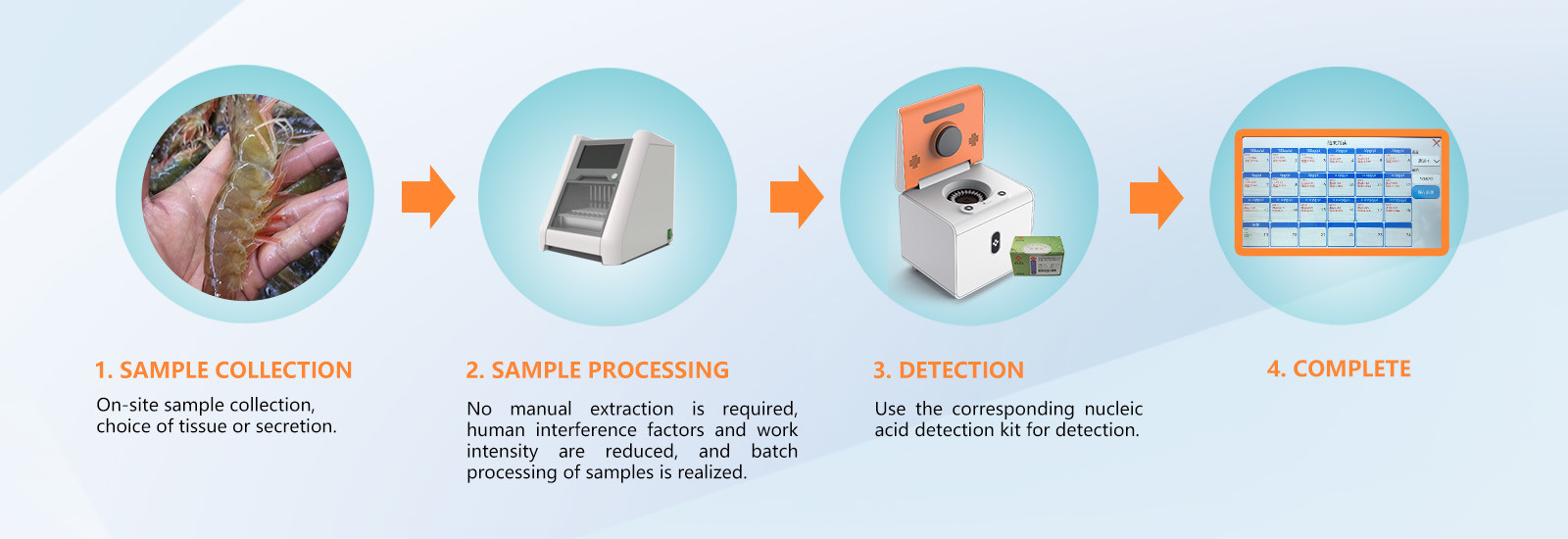qualité Machine de qPCR de droite usine