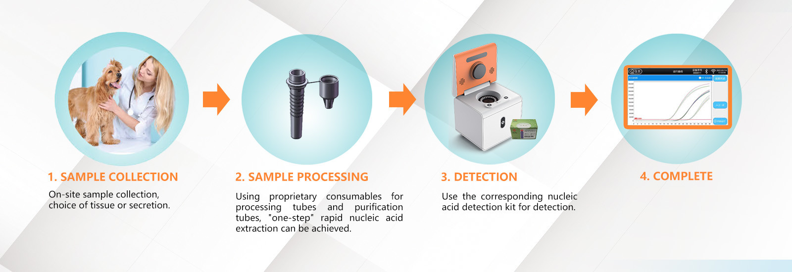 qualité Machine de qPCR de droite usine