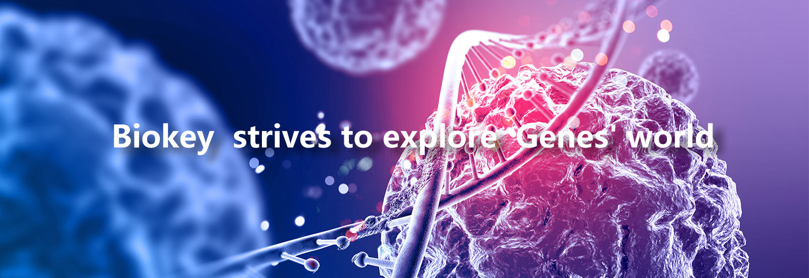 qualité Machine de qPCR de droite usine