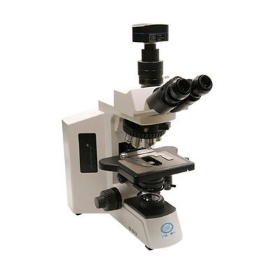 Grade de recherche Microscope vertical B80