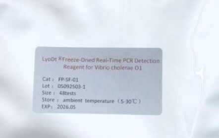 Réactif de détection PCR en temps réel LyoDt® en poudre lyophilisée pour Vibrio cholerae O1 - Pas de chaîne du froid requise & Pré-dispensé en test unique