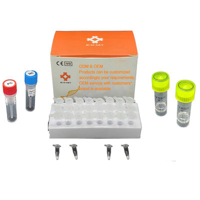 Kit de diagnostic par PCR quantitative fluorescente Détection moléculaire des agents pathogènes aquatiques 48 tests/kit Diagnostic