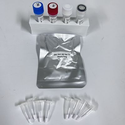 Kit de détection PCR en temps réel des tissus de crevettes Vpa Vibrio Parahaemolyticus