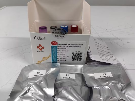 Kit de détection d'acide nucléique pour le virus du poisson du lac de Tilapia PCR lyophilisé en temps réel