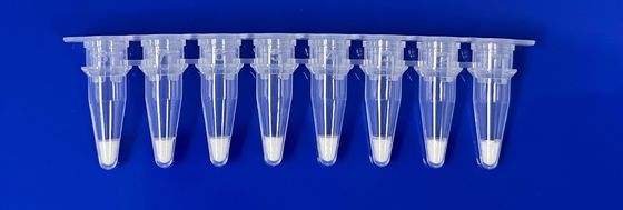 Kit de détection PCR en temps réel lyophilisé pour l'ingrédient porcin dans un échantillon alimentaire