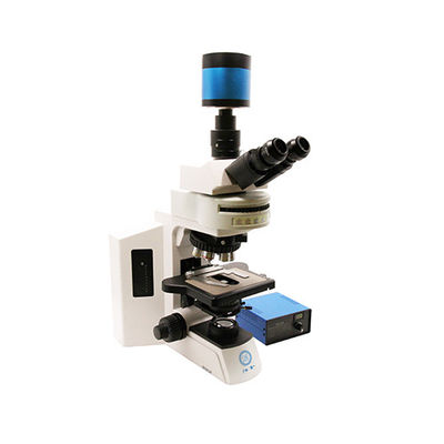 Microscope vertical de qualité recherche B80F avec source lumineuse LED 12V/3W