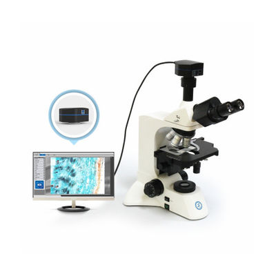 30° cylindre à trois yeux incliné microscope vertical B60