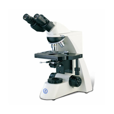 Microscope vertical de précision B50 avec cylindre à trois yeux