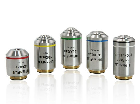 Grade de recherche Microscope vertical B80