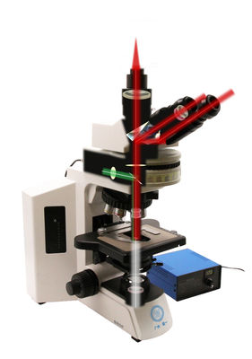 Microscope vertical de qualité recherche B80F avec source lumineuse LED 12V/3W