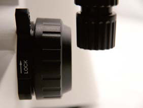 Microscope biologique vertical à mise au point coaxiale