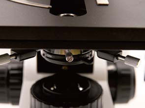 Microscope biologique vertical à mise au point coaxiale