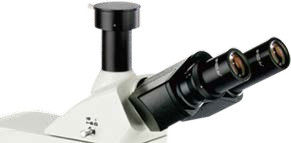 Microscope biologique fluorescent vertical B60F
