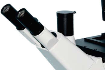 Microscope biologique inversé B60i Focus coaxiale fin