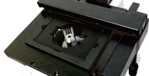Microscope biologique inversé B80iF pour l'observation des tissus cellulaires