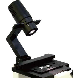 Microscope biologique inversé B80iF pour l'observation des tissus cellulaires