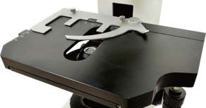 30° cylindre à trois yeux incliné microscope vertical B60