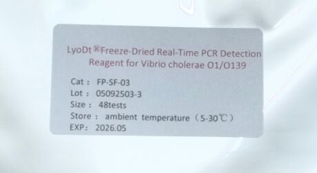 LyoDt® réactif de détection PCR en temps réel séché par congélation pour Vibrio cholerae O1/O139 - Aucune chaîne de froid n'est requise et un seul test est pré-distribué