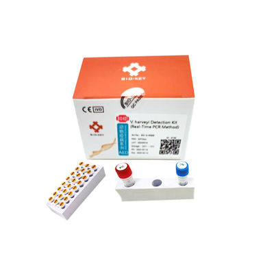 ACP de Kit Nucleic Acid Real Time d'essai d'aquiculture de Harveyi de vibrio d'échantillons d'eau